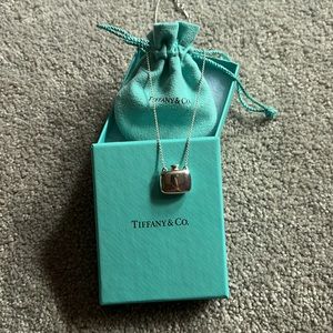 Tiffany & Co Elsa Peretti Square Bottle Necklace 18.5”